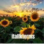 italk terms